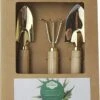 Botang 3-delige Metalen Tuingereedschap Set, Mini Troffel, Harkje En Transplanter - Opgelet Mini Set -Tuinverzorgings Winkel 960x1200