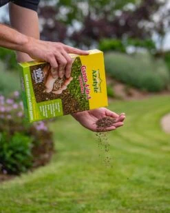 ECOstyle Gazon 4-in-1 Totaalpakket Met Kalk, Mest, Graszaad & Grond In Een Doos - Geeft Kale Plekken In Gras Egaal Herstel - 5- 10 Kale Plekken - 1 KG -Tuinverzorgings Winkel 960x1200 13