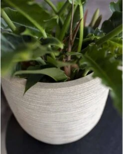 Capi Europe - Bloempot Bol Waste Rib NL - 43x41 - Terrazzo Beige - Voor Binnen En Buiten - KTBR933 6 Capi Europe - Bloempot Bol Waste Rib NL - 43x41 - Terrazzo Beige - Voor Binnen En Buiten - KTBR933 -Tuinverzorgings Winkel 960x1200 22