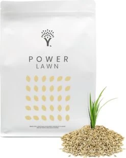 Snelkiemend Power Graszaad Voor 50m² Gras | Hoge Kwaliteit Gras Voor Een Snel Groeiend Meerjarig Gazon -Tuinverzorgings Winkel 963x1200 2