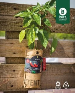 Hangtuintjes Keukenkruiden Kweken - Set 4st. -Tuinverzorgings Winkel 967x1200