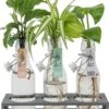 LOFE-Green Jewel-triple-Hydroponie, 3 Plantjes Samen Op Water 1 LOFE-Green Jewel-triple-Hydroponie, 3 Plantjes Samen Op Water -Tuinverzorgings Winkel 967x1200 3