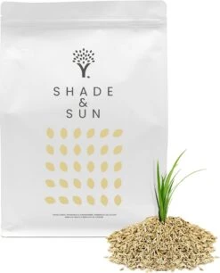 Schaduw Graszaad Voor 50m² Gras | Voor Een Gazon Met Veel Schaduw | Hitte & Droogte Resistent -Tuinverzorgings Winkel 969x1200 5