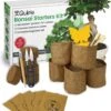 Qubis Bonsai Starters Kit - 23 Delige Kweekset - 5 Soorten Premium Zaden - DIY Pakket - Binnen Bonsai Boompje Kweken - Incl. Rouwvliegjes Vanger 1 Qubis Bonsai Starters Kit - 23 Delige Kweekset - 5 Soorten Premium Zaden - DIY Pakket - Binnen Bonsai Boompje Kweken - Incl. Rouwvliegjes Vanger -Tuinverzorgings Winkel 978x1200 4