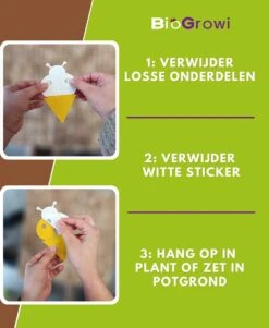 Biofixer - 10 Vangkaartjes - Rouwvliegjes Bestrijden - Varenrouwmug Bestrijden - Vangplaatjes Tegen Rouwvliegjes - Plakstrips - Vangplaten -Tuinverzorgings Winkel 985x1200 3