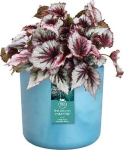 Elho The Ocean Collection Round 22cm - Bloempot Voor Binnen - 100% Gerecycled Materiaal - Gemaakt Met Zeeafval - Ø 22.3 X H 20.4 Cm - Atlantisch Blauw -Tuinverzorgings Winkel 995x1200 3