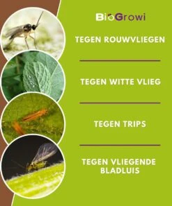 Biofixer - 10 Vangkaartjes - Rouwvliegjes Bestrijden - Varenrouwmug Bestrijden - Vangplaatjes Tegen Rouwvliegjes - Plakstrips - Vangplaten -Tuinverzorgings Winkel 997x1200 1